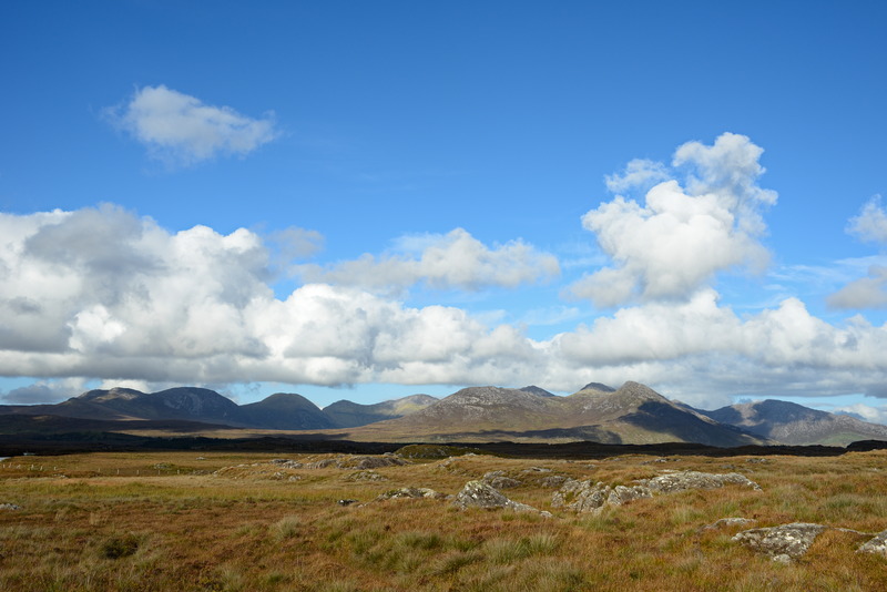 Einfach fantastisch bei dem Licht